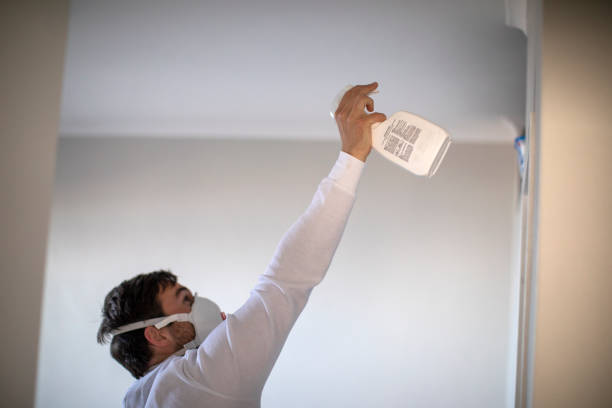 Best Affordable Mold Removal  in Madison, WV
