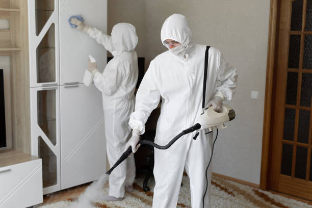 Mold Testing and Removal in Madison, WV